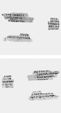 Magdalen Papyrus Fragments